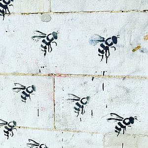 … wo andere Urlaub machen