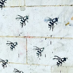 … wo andere Urlaub machen