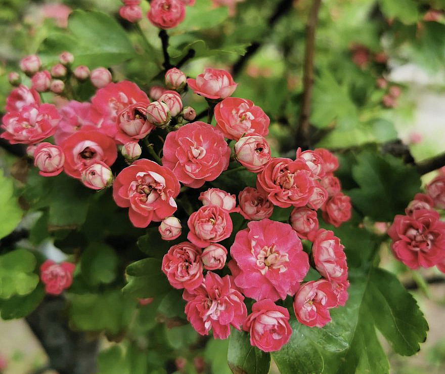 13 Wege Nicht Abzunehmen