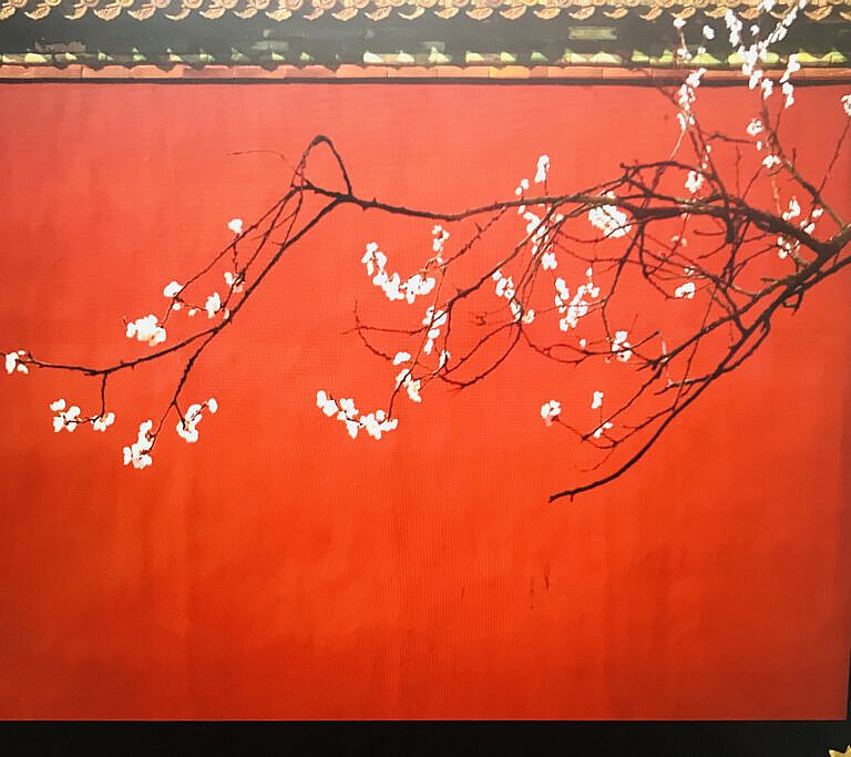 „Der will nur Aufmerksamkeit“