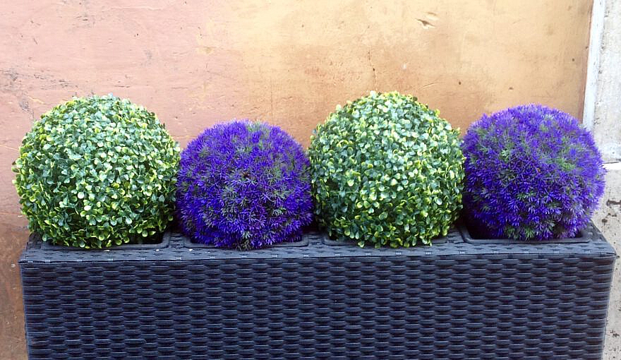 Fridolin – Nummer 5 lebt!