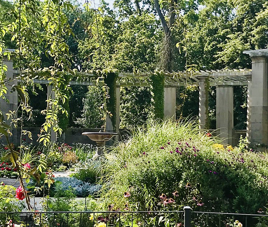 Fridolin – schon wieder! Teil 6 der Fridolin-Saga