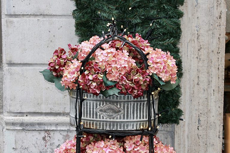 Fridolin, der zweite Akt