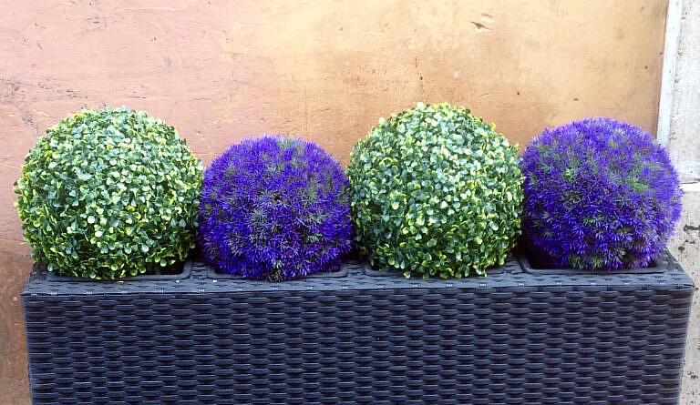 Fridolin – Nummer 5 lebt!