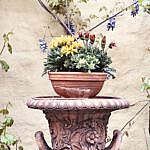 Fridolin – der erste Akt