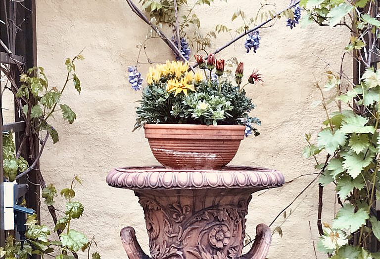 Fridolin – der erste Akt