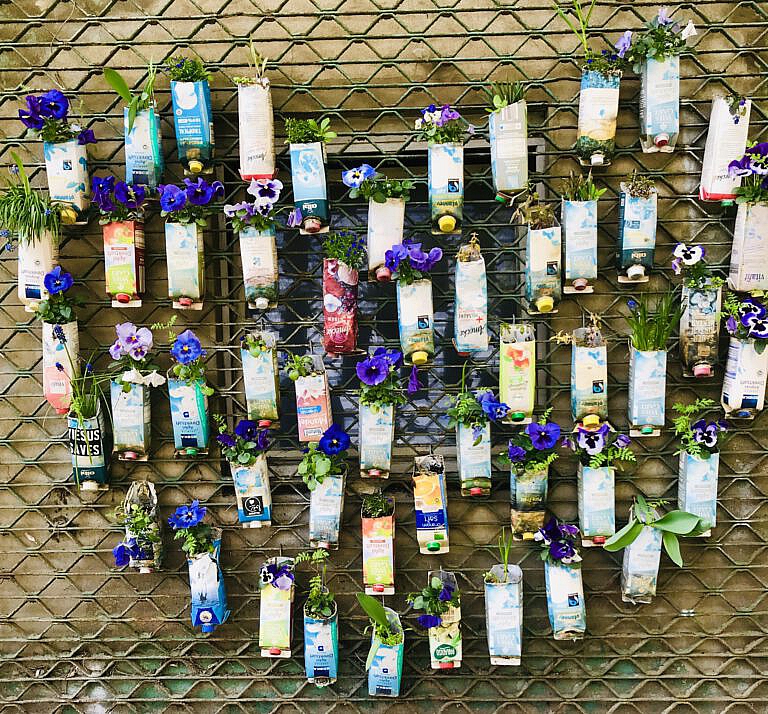 Der mongolische Halbzwilling