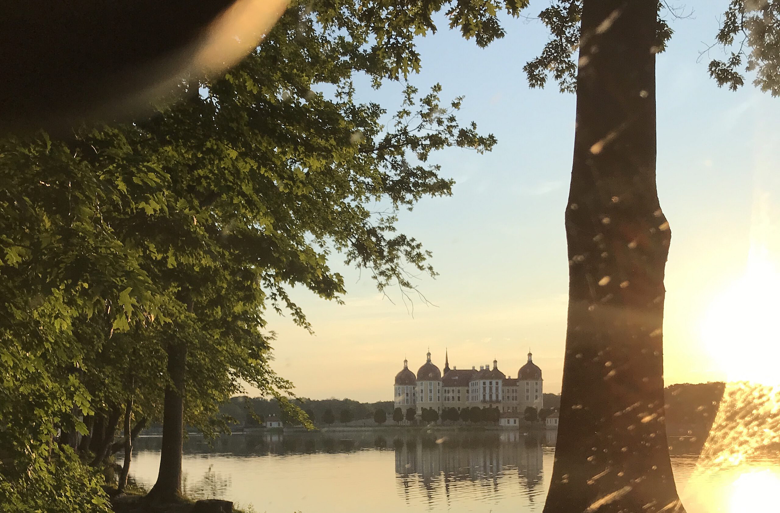 Raus aus dem Teich