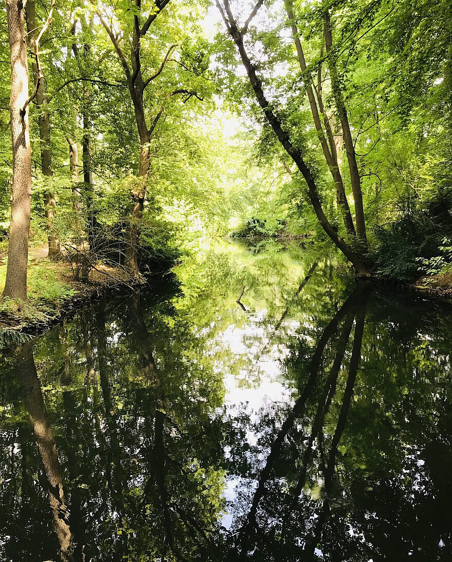 Den Erinnerungsteich austrocknen