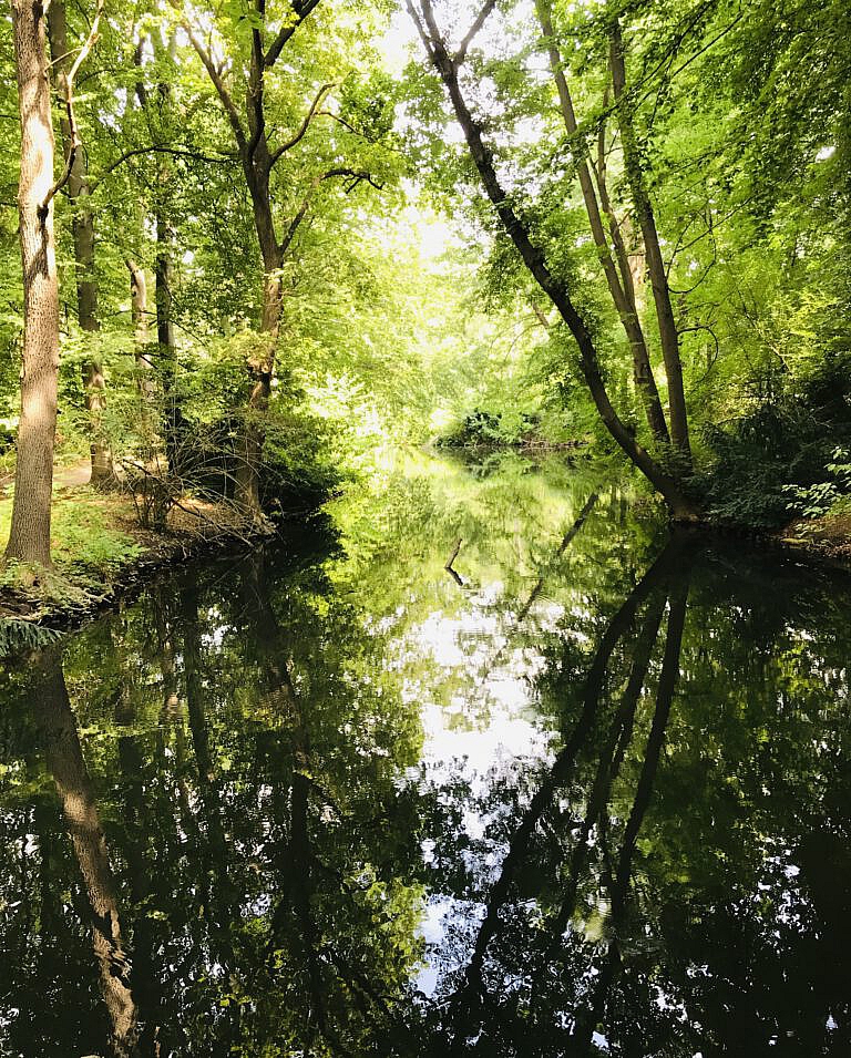 Den Erinnerungsteich austrocknen