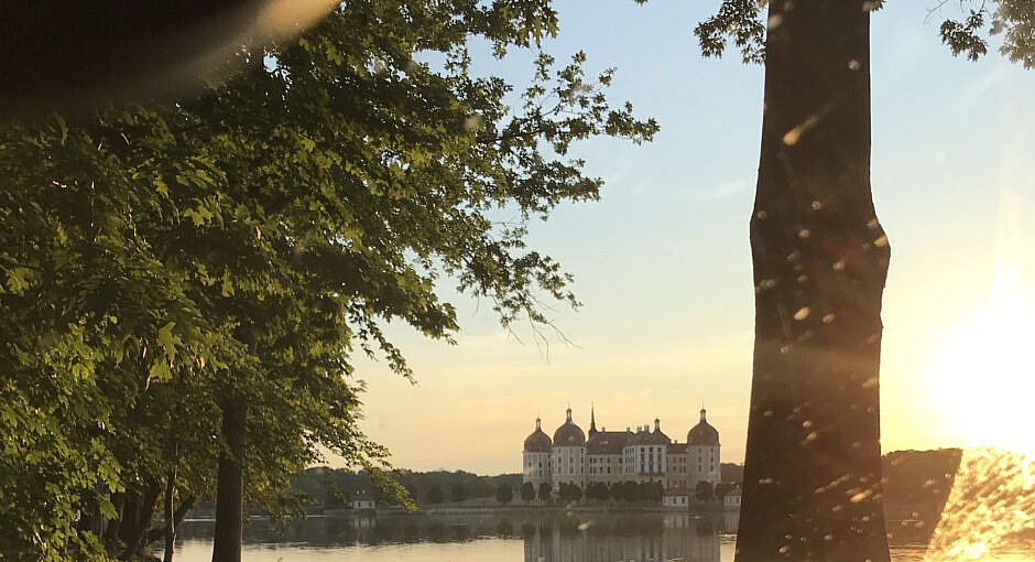 Raus aus dem Teich Claire Mond Raus aus dem Teich Claire Mond