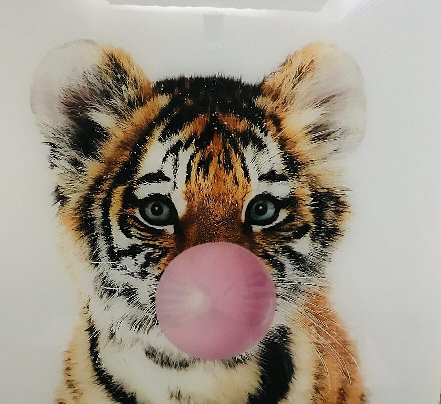 Strange Arrangements