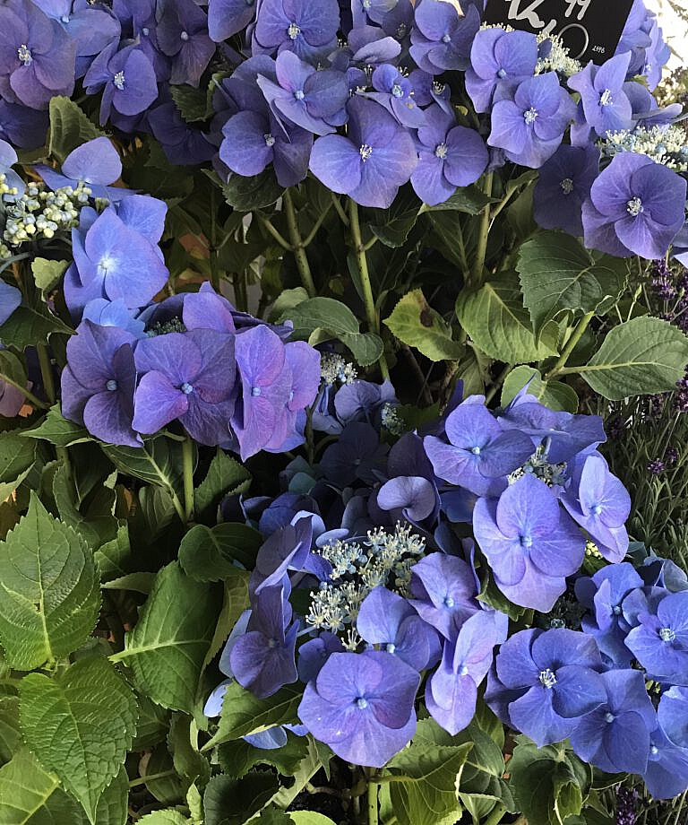 The Marie Kondo of your thoughts