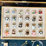 Das sind keine Delphine