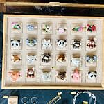 Das sind keine Delphine